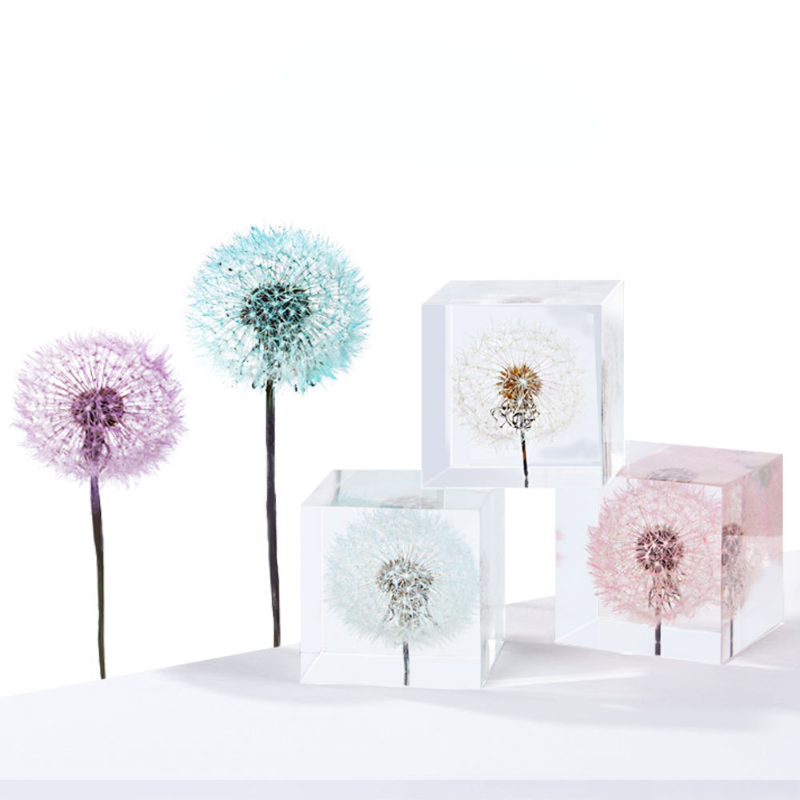 Karahindiba korunmuş taze çiçe - Flower Preservation Resin incelemesi ve fiyatı