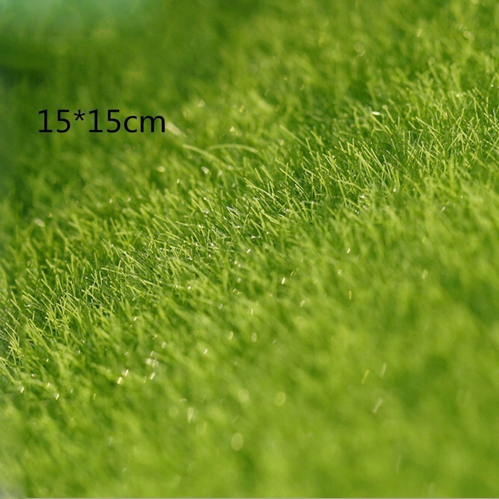 Ekolojik Çim Dekor Bahçe Süsü  - Terrarium Moss Art incelemesi ve fiyatı