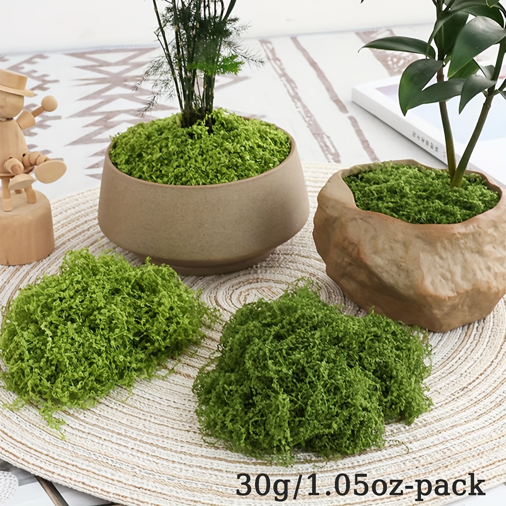 1 paket Yapay Sahte Yosun, 1.0 - Terrarium Moss Art incelemesi ve fiyatı