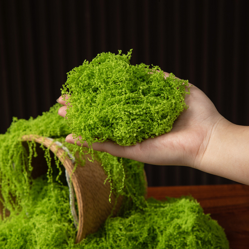 200g Ebedi Yaşam Yosun DIY El  - Terrarium Moss Art incelemesi ve fiyatı