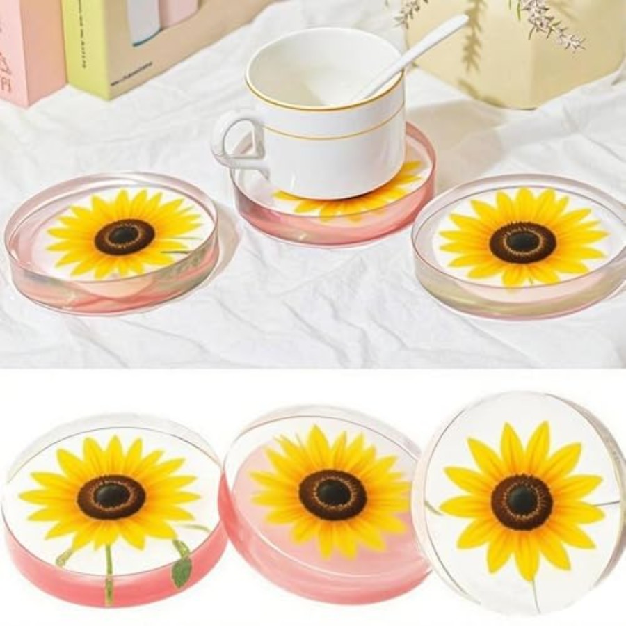 6 Bölmeli Derin Yuvarlak Barda - Flower Preservation Resin incelemesi ve fiyatı