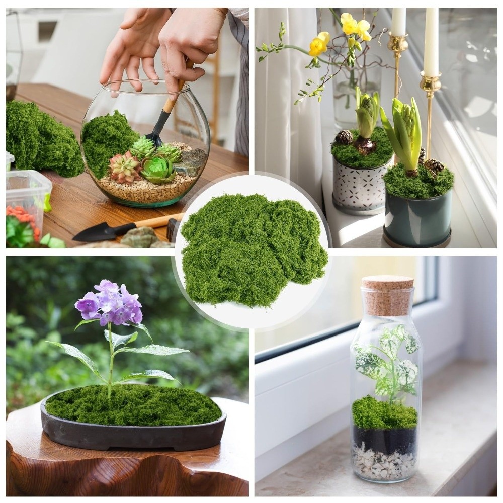 Polyester Yapay Yosun Bitkiler - Terrarium Moss Art incelemesi ve fiyatı